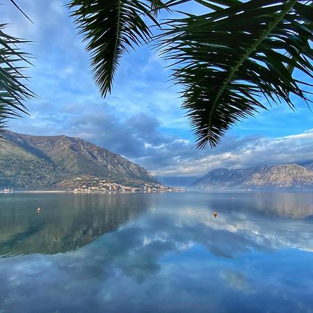 Sunny Bay Apartments Kotor Exterior photo